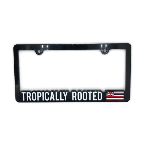 Hawaii License Plate (Assorted Varieties)